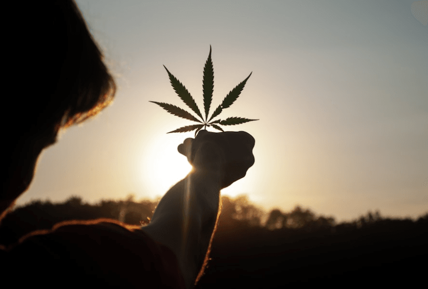 Korzyści z THC (tetrahydrokannabinolu) i CBD (kannabidiolu)?