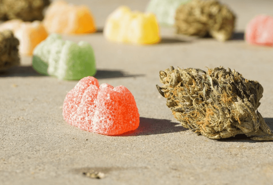 Korzyści z CBD i żywności konopnej? Bezpieczeństwo stosowania?