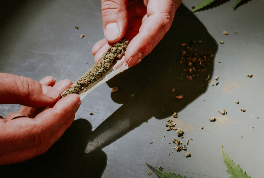 Układ endokannabinoidowy i korzyści z palenia marihuany CBD