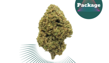 Thunder berry duo zestaw - Mieszane CBD Puffs