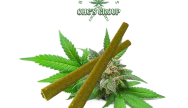 Amnesia White – Dutch Blend Terpene & Kief-Infused Blunt
